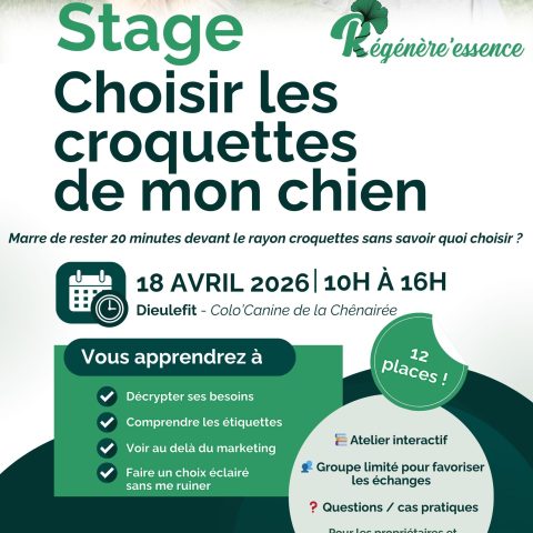 Stage - Choisir les croquettes de mon chien