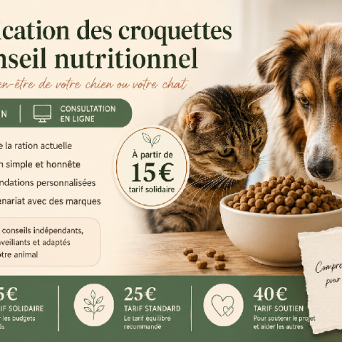 Vérification des croquettes & conseil nutritionnel personnalisé
